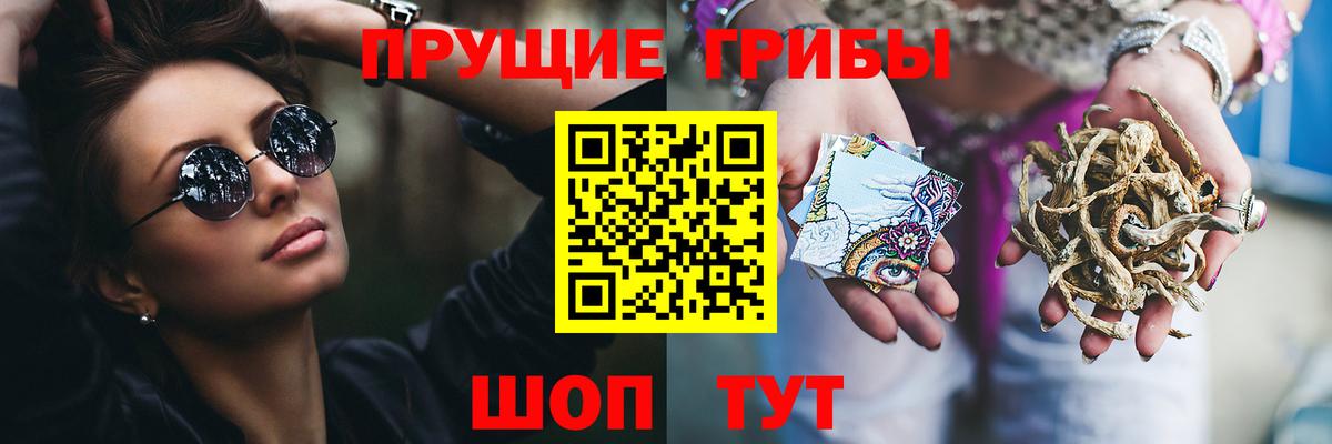 Дзержинск  Галлюциногенные грибы мицелий  Галлюциногенные грибы GOLDEN TEACHER  Вход с VPN 